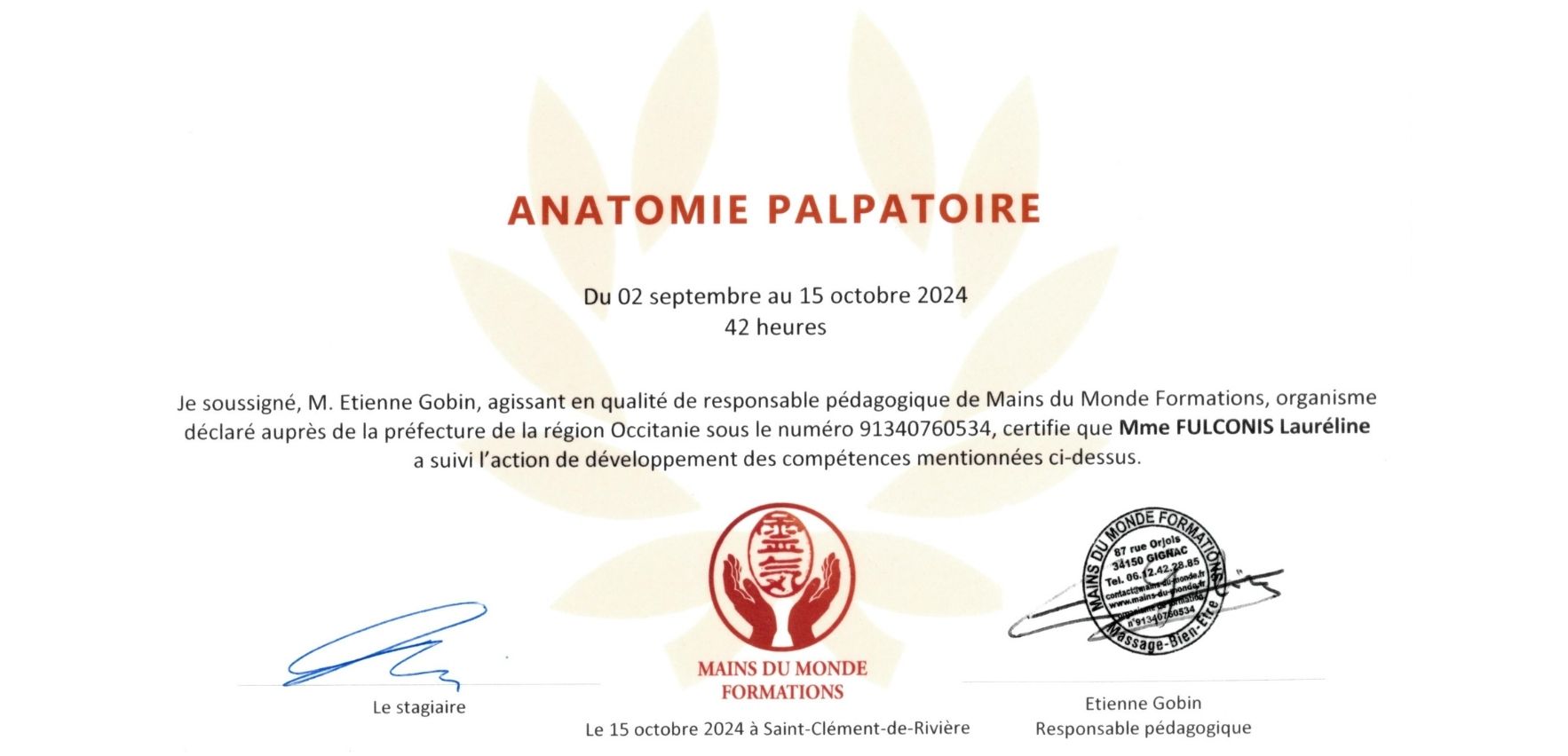 anatomie palpatoire